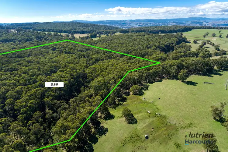 Fourth view of Homely house listing, 284 Burgess Road, Yarck VIC 3719