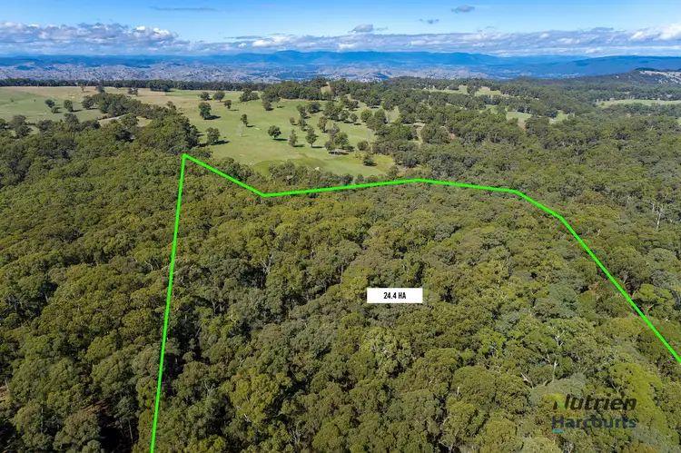 Fifth view of Homely house listing, 284 Burgess Road, Yarck VIC 3719