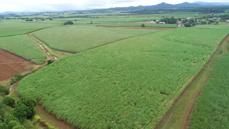 Fourth view of Homely rural property listing, 210 Garradunga Road, Innisfail QLD 4860