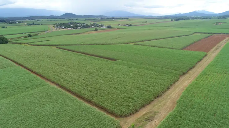 Fifth view of Homely rural property listing, 210 Garradunga Road, Innisfail QLD 4860