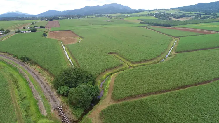 Sixth view of Homely rural property listing, 210 Garradunga Road, Innisfail QLD 4860