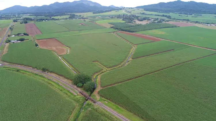 Seventh view of Homely rural property listing, 210 Garradunga Road, Innisfail QLD 4860