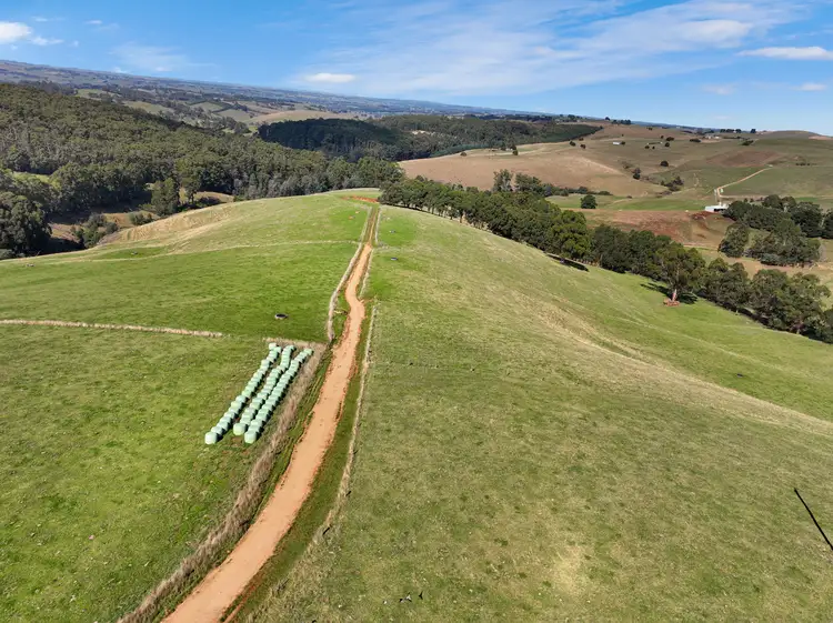 Fifth view of Homely rural property listing, 2310 Grand Ridge Road, Hallston VIC 3953