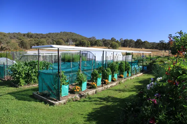 Fifth view of Homely rural property listing, 1693 Marked Tree Road, Gundaroo NSW 2620