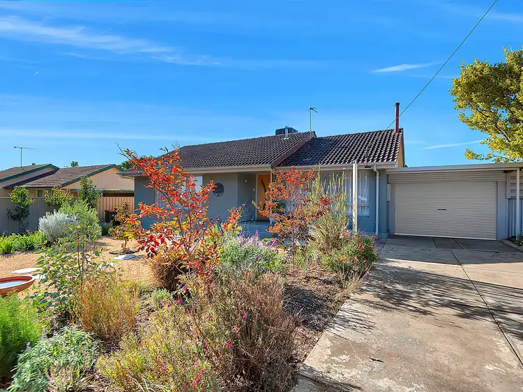 Main view of Homely house listing, 19 Horton Street, Elizabeth Park SA 5113