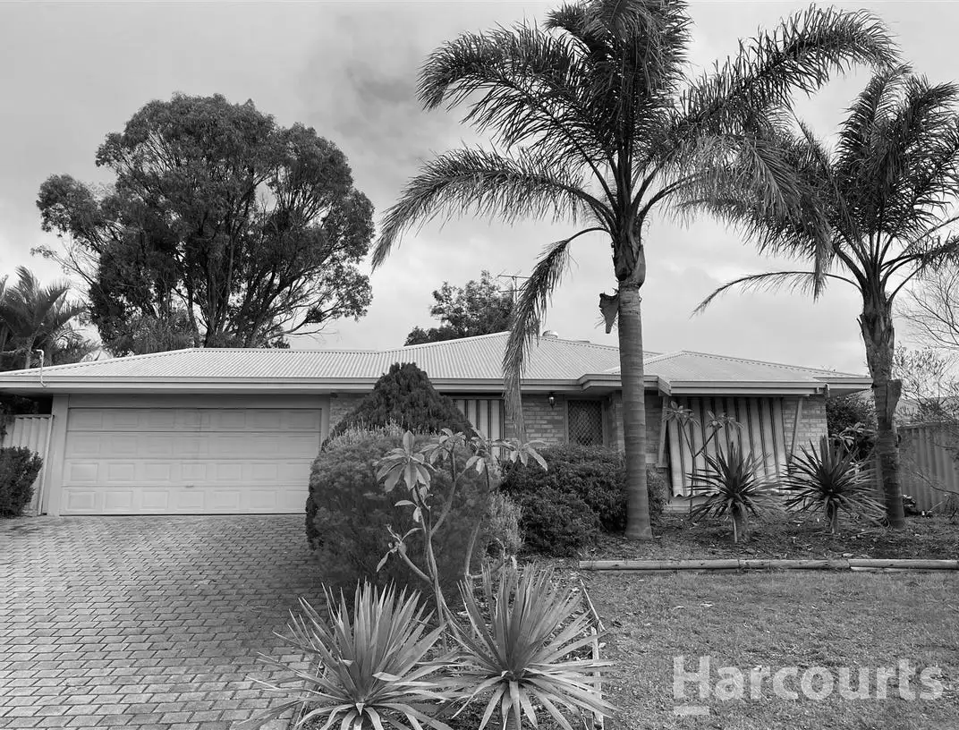 Main view of Homely house listing, 3 Flamingo Place, Greenfields WA 6210