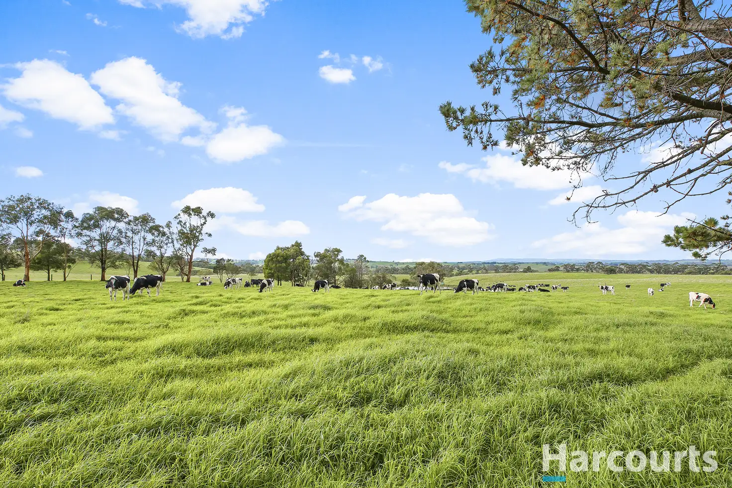 Main view of Homely rural property listing, 675 Yannathan Road, Nyora VIC 3987