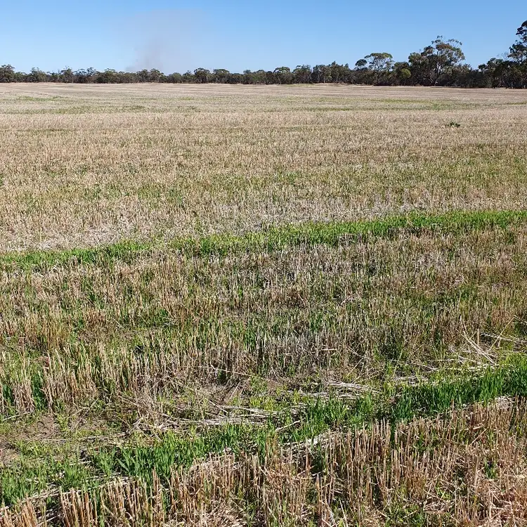 360 Wilson Road, East Pingelly WA 6308