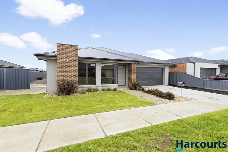 13 Obrien Drive, Alfredton VIC 3350