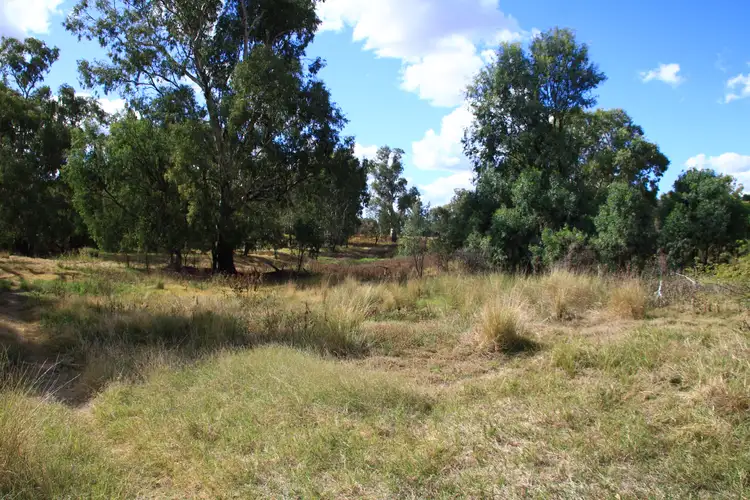 Sixth view of Homely rural property listing, 22923 Kamilaroi Highway, Wee Waa NSW 2388