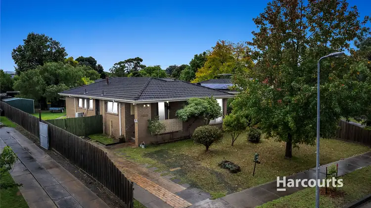 Main view of Homely house listing, 18 Clangula Court, Endeavour Hills VIC 3802