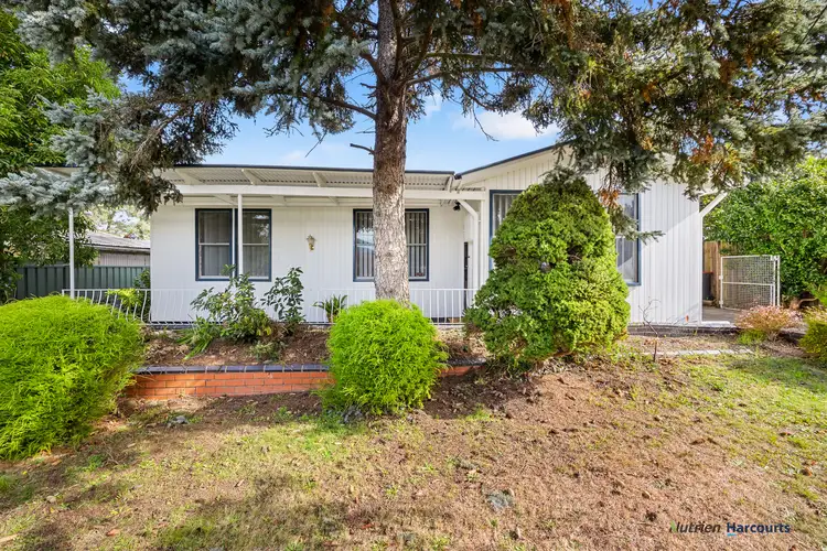 Main view of Homely house listing, 19 Hillside Avenue, Eildon VIC 3713