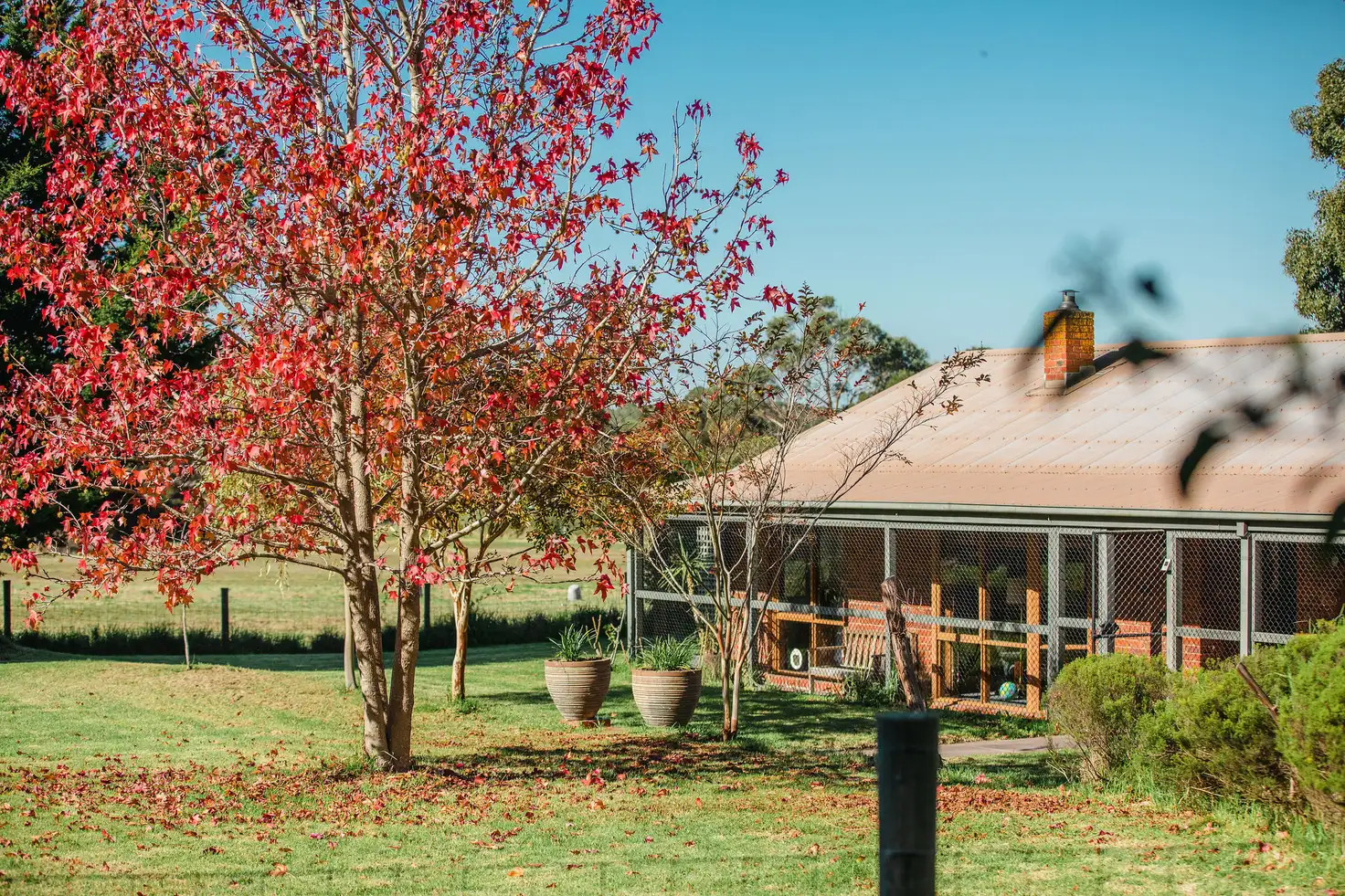 Main view of Homely rural property listing, 196 Hendersons Road, Hastings VIC 3915