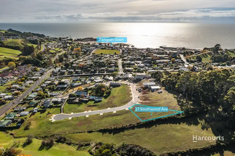 Main view of Homely land listing, 37 Southwood Avenue, Penguin TAS 7316