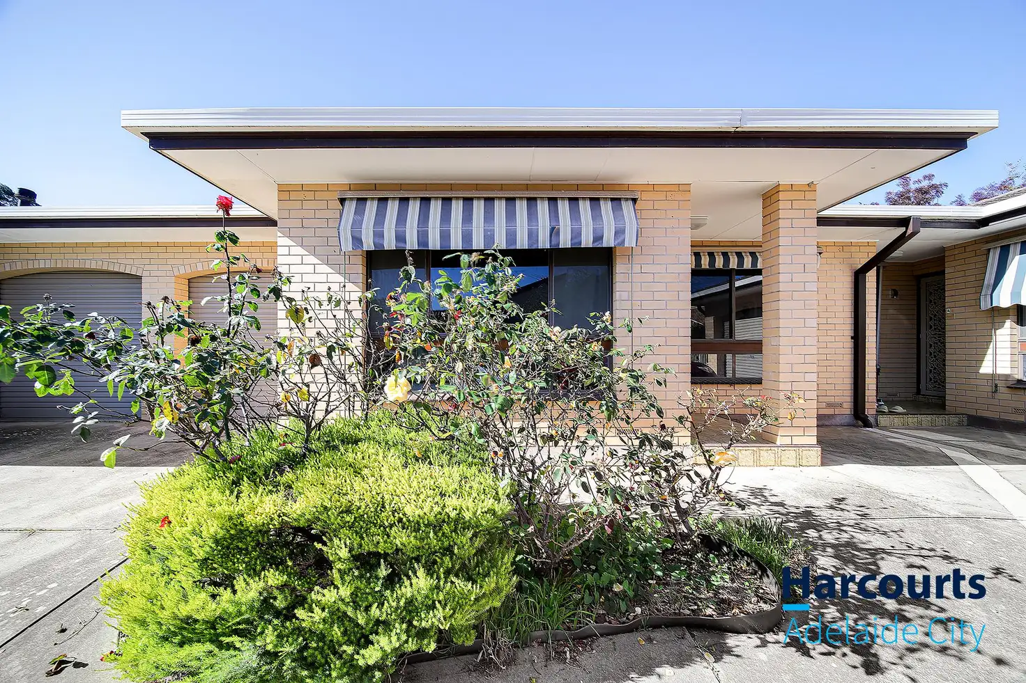 Main view of Homely house listing, 3/22 Chisholm Avenue, Burnside SA 5066