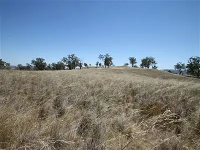 Second view of Homely rural property listing, 148 Warrah Creek Rd, Willow Tree NSW 2339