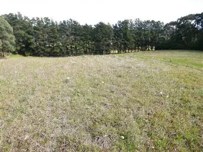 Third view of Homely rural property listing, 870 Gembrook-Launching Place Road, Hoddles Creek VIC 3139