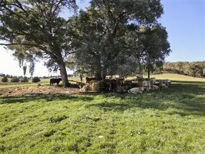 Fifth view of Homely rural property listing, 188 Upper Carboor Road, Carboor VIC 3678