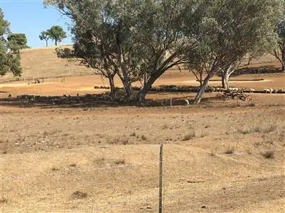 Sixth view of Homely rural property listing, 4861 Mendooran rd, Coonabarabran NSW 2357