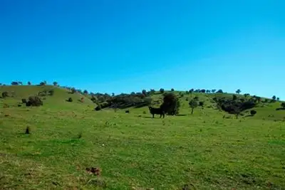 Seventh view of Homely rural property listing, 473 Eldridges Lane, Taylors Flat, Boorowa NSW 2586