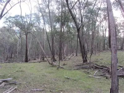 Fifth view of Homely rural property listing, Lot 3 Penny Lane, Ruffy VIC 3666