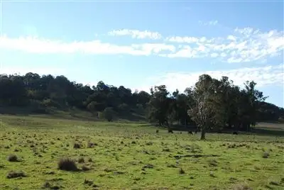 Second view of Homely rural property listing, 3820 Niangala Road, Niangala NSW 2354