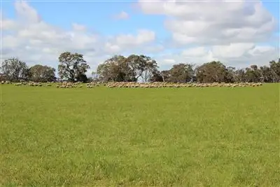 Second view of Homely rural property listing, 4127 Sunraysia Highway, Lexton VIC 3352