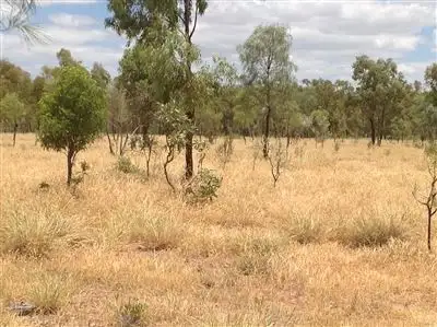 Sixth view of Homely rural property listing, . Cheltenham Station, Torrens Creek QLD 4816
