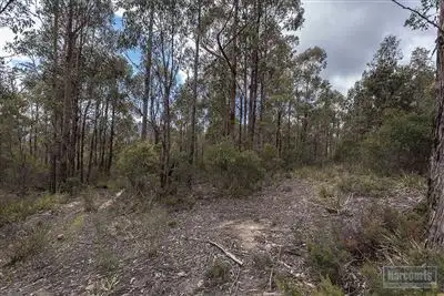 Seventh view of Homely land listing, RA She Oak Road, Judbury TAS 7109