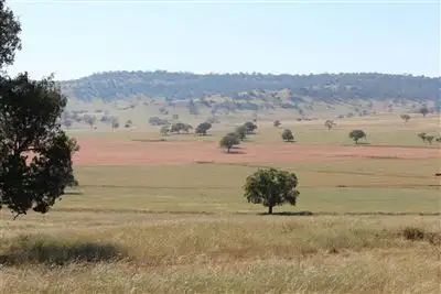 Fifth view of Homely rural property listing, . "Mulela" Weblands Rd, Quirindi NSW 2343