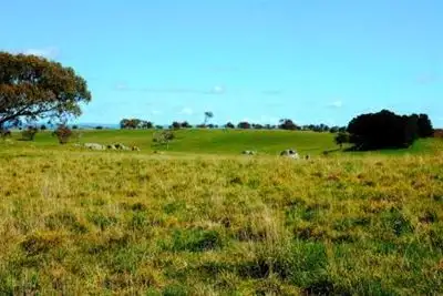 Fourth view of Homely rural property listing, 451 Clancys Road 'Merrill', Gunning NSW 2581