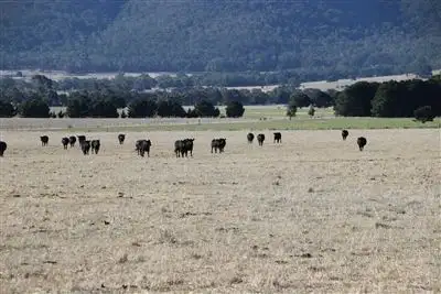 Fifth view of Homely rural property listing, . Western Highway, Middle Creek VIC 3375