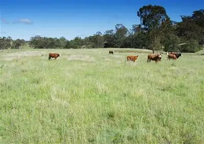 Main view of Homely rural property listing, Dulverton/450 Fullers Lane, Wallabadah NSW 2343