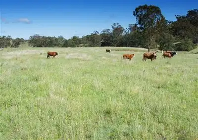 Main view of Homely rural property listing, Dulverton/450 Fullers Lane, Wallabadah NSW 2343
