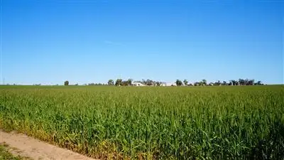 Fourth view of Homely rural property listing, Address available on request