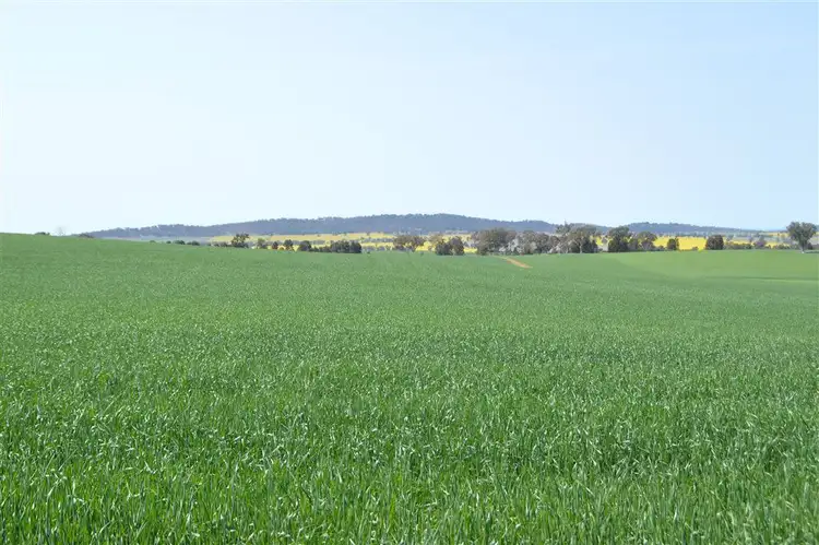 Second view of Homely rural property listing, Clearview Tooyal School Road, Wagga Wagga NSW 2650