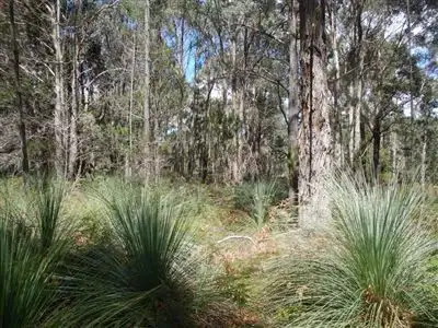 Sixth view of Homely rural property listing, 6344 Grafton Road (Waterfall Way), Wollomombi NSW 2350