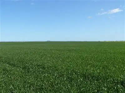 Fourth view of Homely rural property listing, Lot 301 Tagon Road, Esperance WA 6450