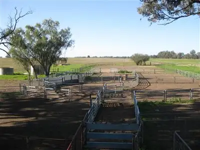 Seventh view of Homely rural property listing, . Riverside, Old Morago Rd, Deniliquin NSW 2710