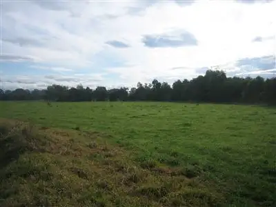 Seventh view of Homely rural property listing, 647 Riverview Road, Heyfield VIC 3858