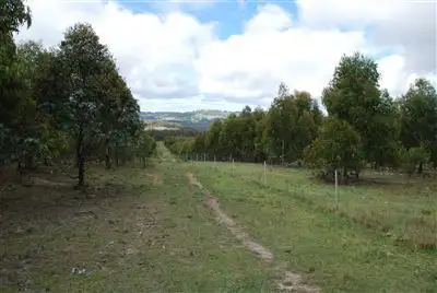 Second view of Homely rural property listing, 244 Bukeiro Road, Walcha NSW 2354