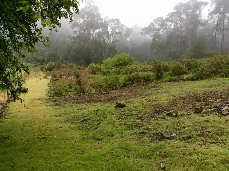 Main view of Homely land listing, Lottah Road, Lottah TAS 7216