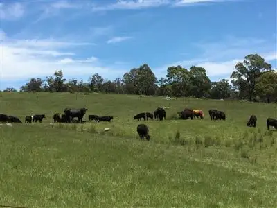 Sixth view of Homely rural property listing, Bindook Mount Werong Road, Oberon NSW 2787