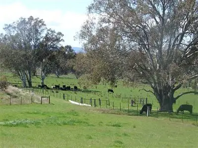 Sixth view of Homely rural property listing, 1073 Dairy Creek Road, Yea VIC 3717