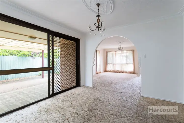 Fifth view of Homely house listing, 13 Japonica Drive, Palm Beach QLD 4221