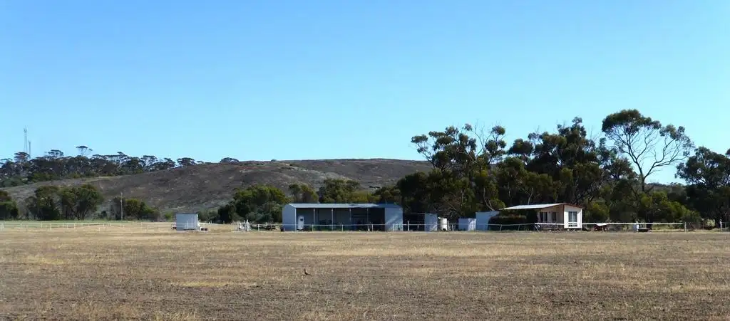 Main view of Homely house listing, 6538 Corrigin Bruce Rock Road, Corrigin WA 6375