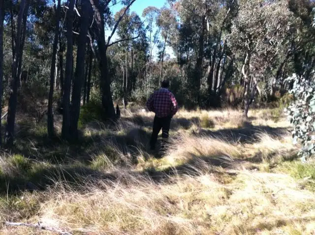 lot 1,237 Yammatree Rd, Cootamundra NSW 2590