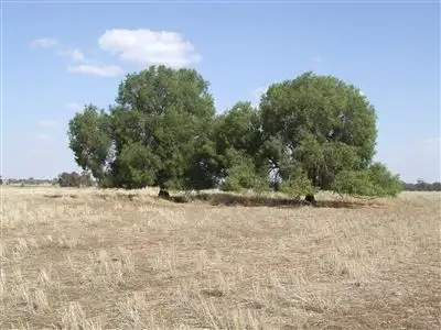 Sixth view of Homely rural property listing, 71 Williams Road, Grong Grong NSW 2652