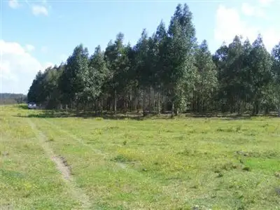 Second view of Homely rural property listing, Alice Stn/. Top Plains Road, via, Casino NSW 2470