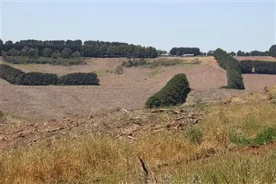 6 Lots Heytesbury District, Simpson VIC 3266